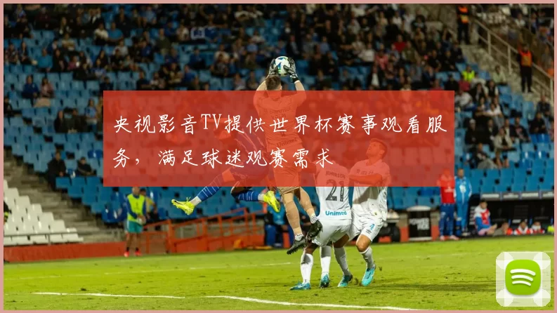 央视影音TV提供世界杯赛事观看服务，满足球迷观赛需求