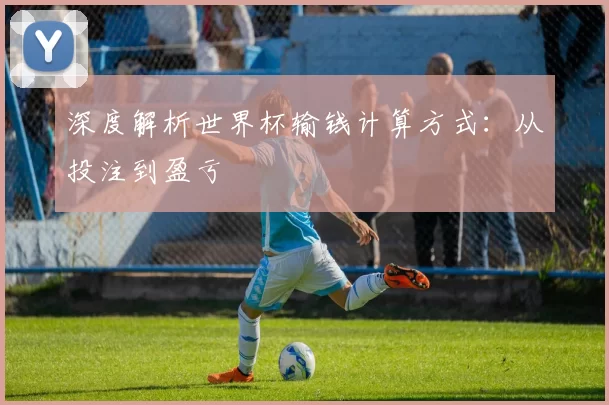 深度解析世界杯输钱计算方式：从投注到盈亏
