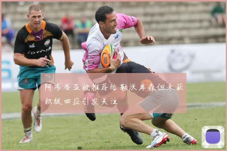 阿韦洛亚被推荐给勒沃库森但未获积极回应引发关注