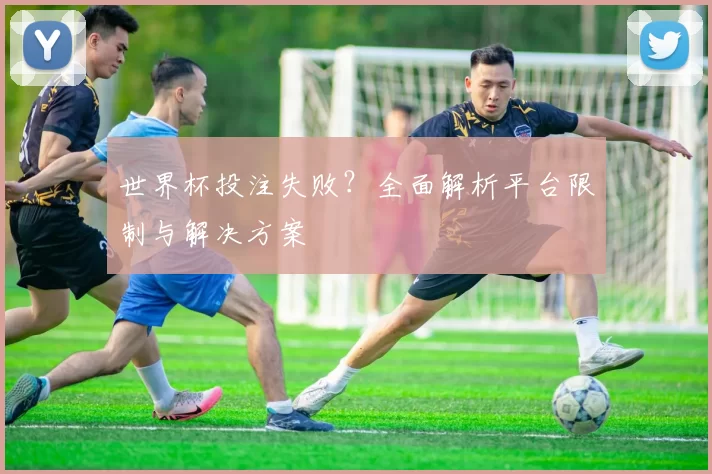 世界杯投注失败?全面解析平台限制与解决方案