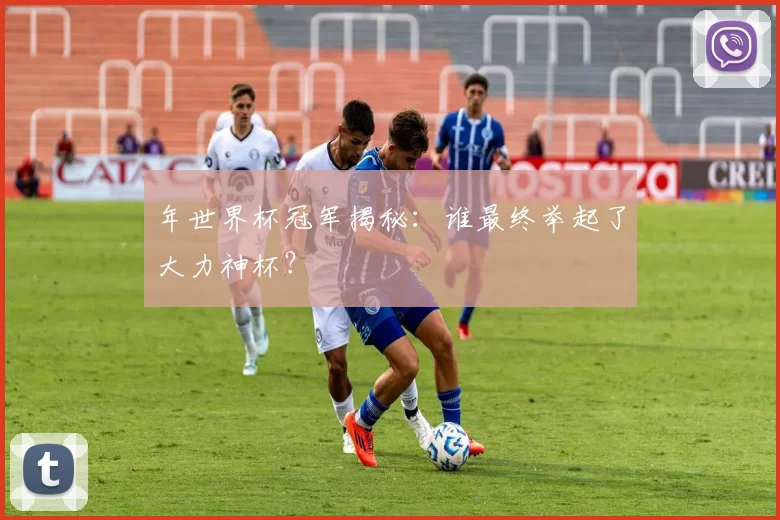 年世界杯冠军揭秘：谁最终举起了大力神杯？