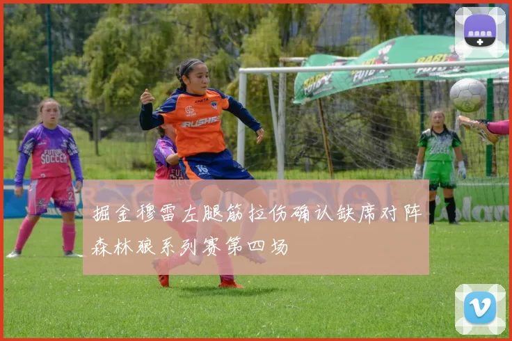 掘金穆雷左腿筋拉伤确认缺席对阵森林狼系列赛第四场