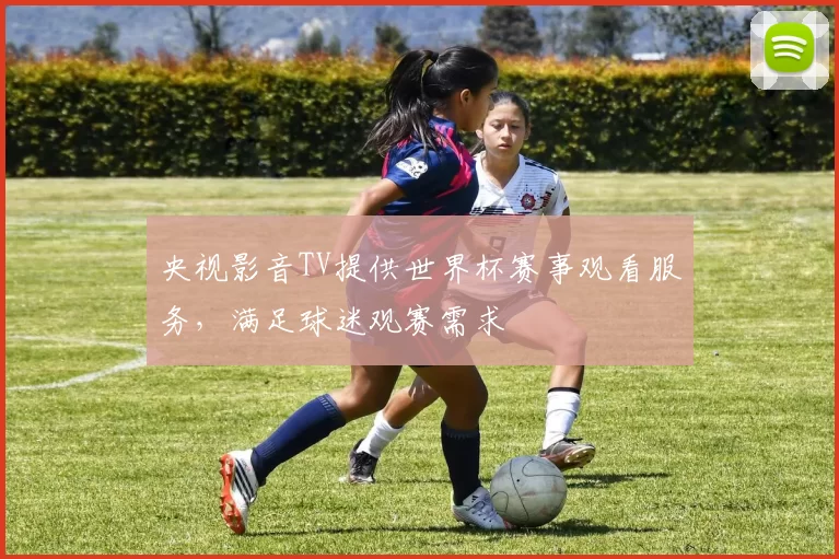 央视影音TV提供世界杯赛事观看服务,满足球迷观赛需求