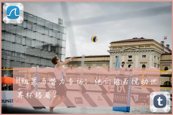 H组黑马潜力专访：他们能否搅动世界杯格局？