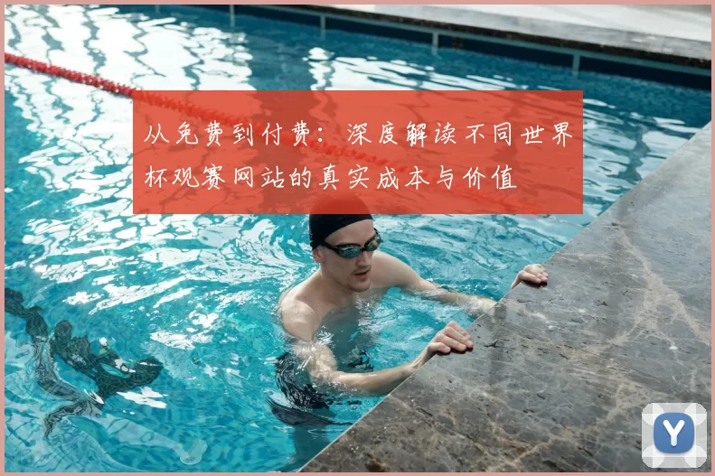 从免费到付费:深度解读不同世界杯观赛网站的真实成本与价值