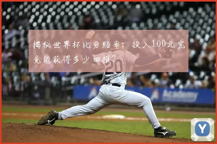 揭秘世界杯比分赔率：投入100元究竟能获得多少回报？