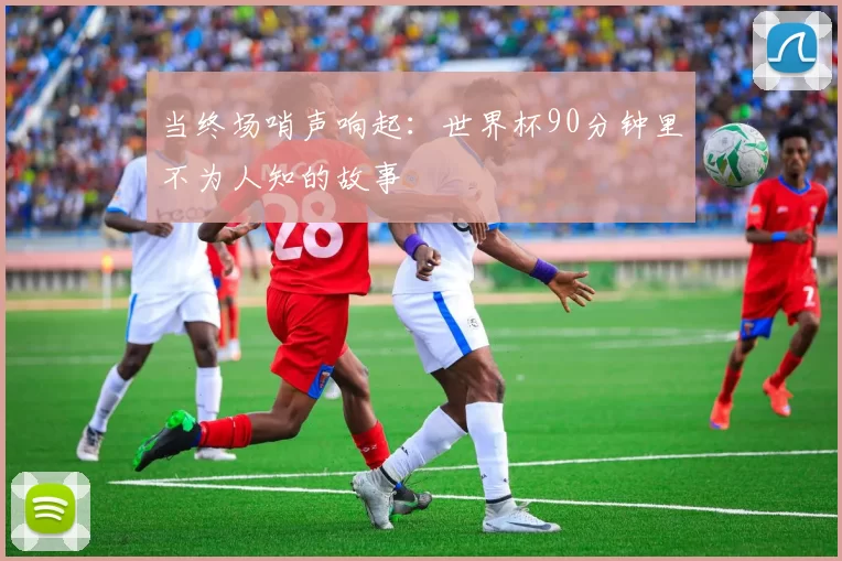 当终场哨声响起：世界杯90分钟里不为人知的故事