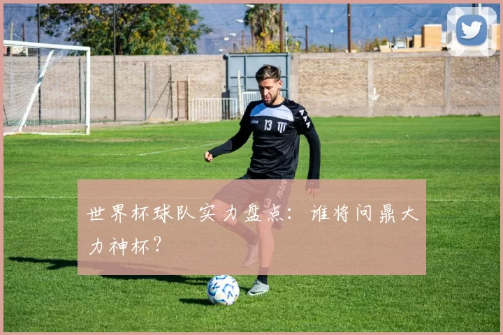 世界杯球队实力盘点:谁将问鼎大力神杯?