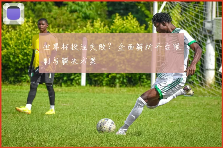 世界杯投注失败?全面解析平台限制与解决方案