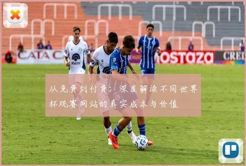从免费到付费：深度解读不同世界杯观赛网站的真实成本与价值